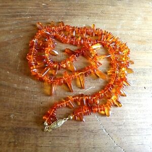 Amber Beaded Necklace [2]